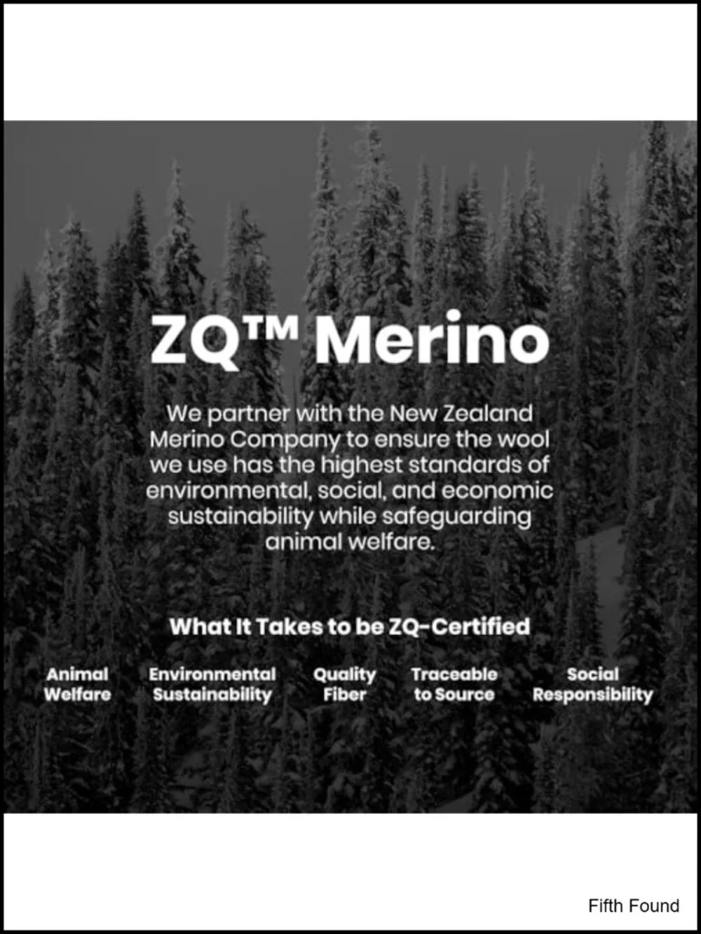 Merino Wool No Show Socks Multipack Lightweight Liner for Hiking Yoga